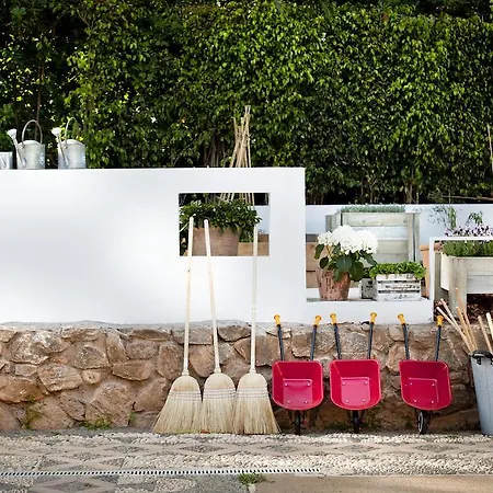 Club - Golf & Marbella